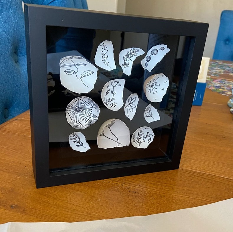 eggshells with thin black ink drawings of flowers on the inside mounted to a black board and framed in square black shadow box